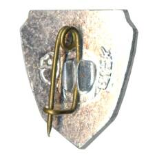 Значок Волгоград (вид 2)