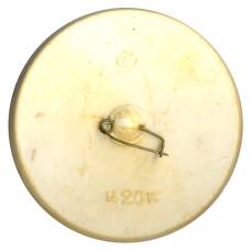 Значок Крокодил Гена (вид 2)