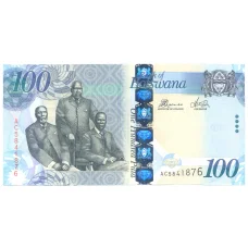 Банкнота 100 пула 2009 года (аверс)