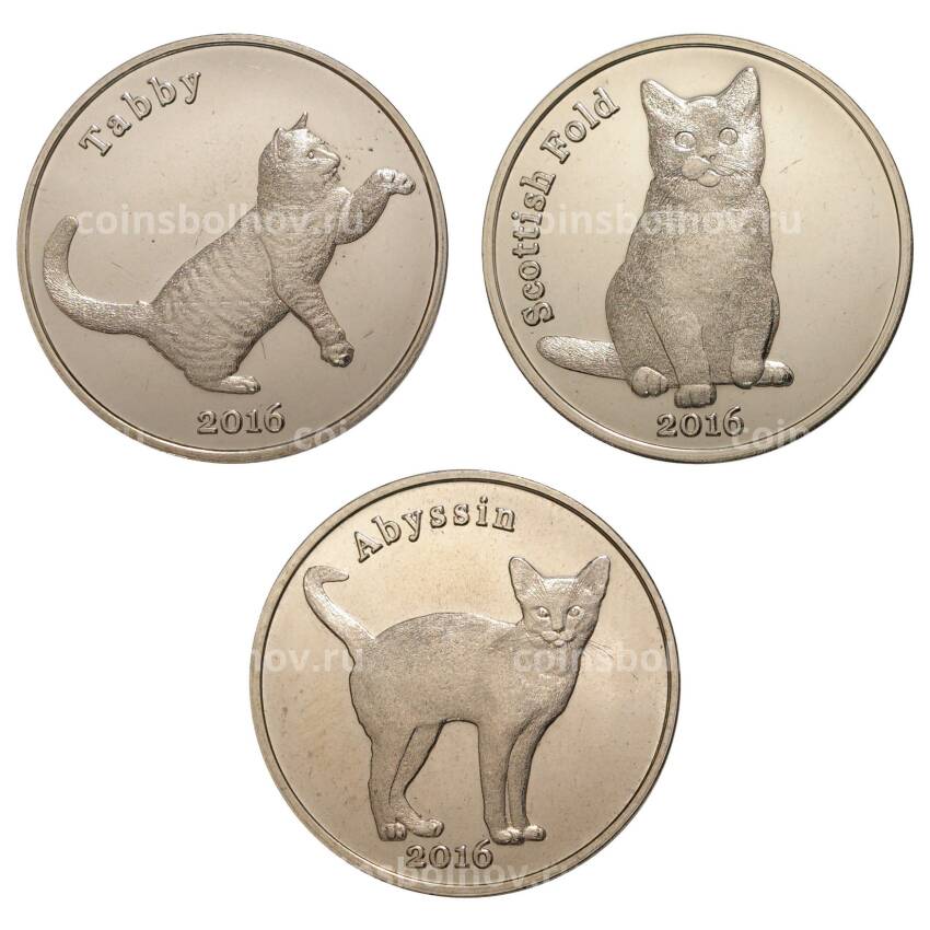 Набор монет 1 фунт 2016 года Кошки - Остров Строма