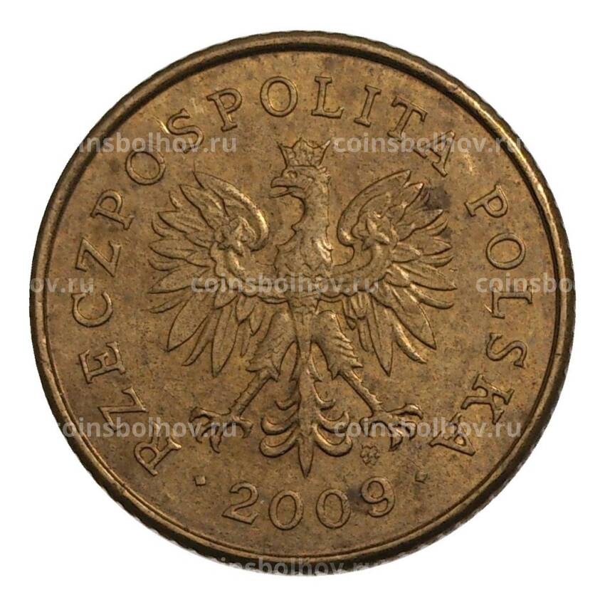 Монета 1 грош 2009 года Польша