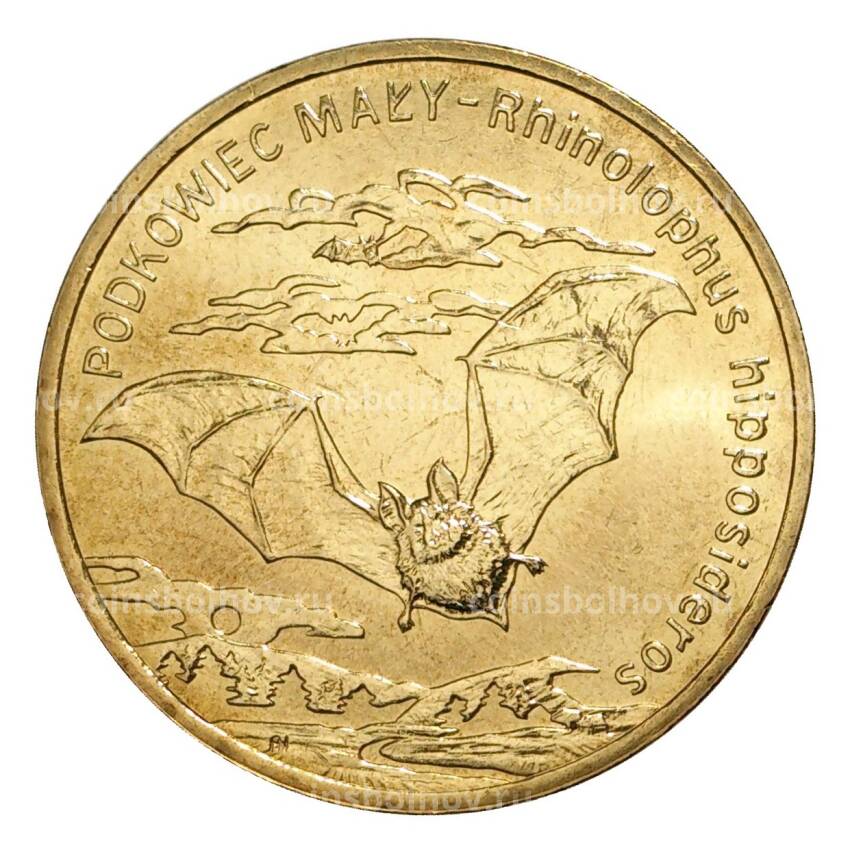 Монета 2 злотых 2010 года Летучая мышь (Малый подковонос)