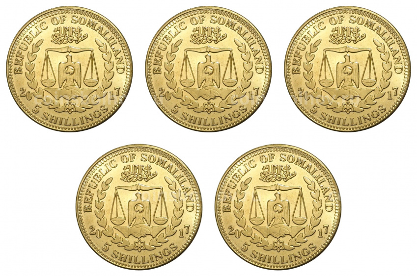 Набор монет 5 шиллингов 2017 года Сомалиленд — Обезьяны (вид 2)