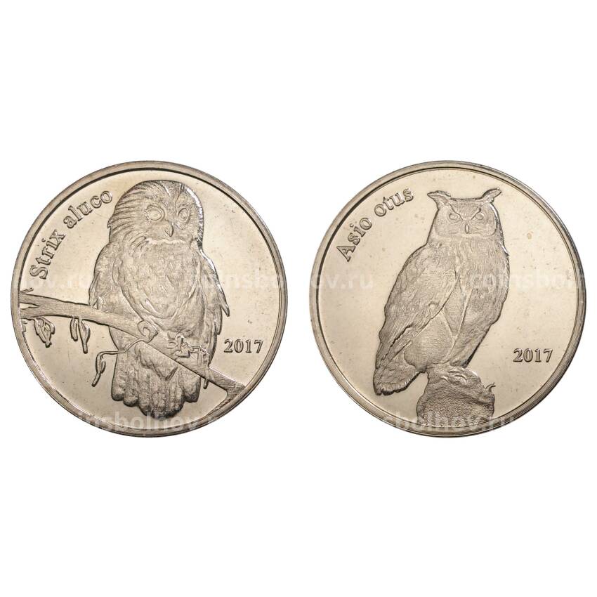 Набор монет 1 фунт 2017 года Шетландские острова «Птицы»