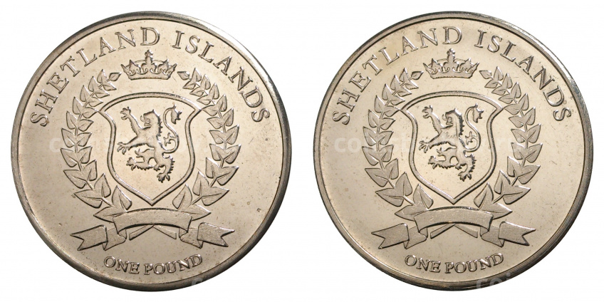 Набор монет 1 фунт 2017 года Шетландские острова «Птицы» (вид 2)