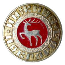 Значок Нижний Новгород