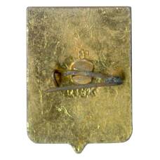 Значок Волгоград (вид 2)