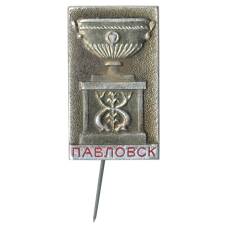 Значок Павловск