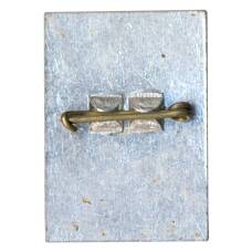 Значок Запорожье (вид 2)