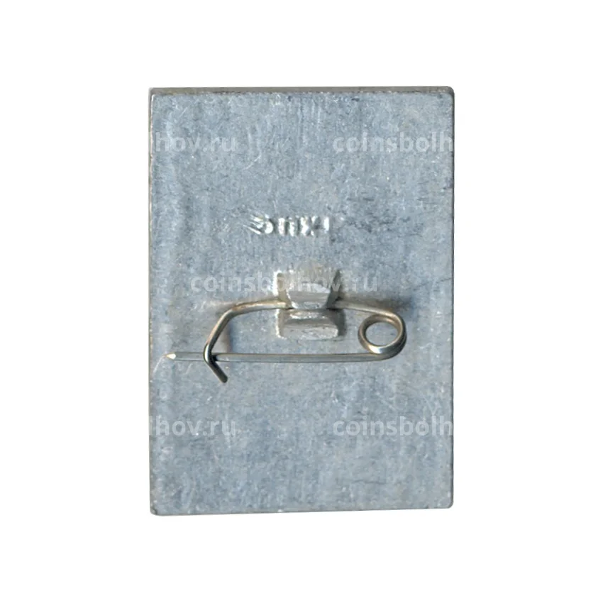 Значок Общество охраны памятников истории и культуры РСФСР (вид 2)