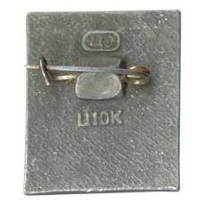 Значок Владимир (вид 2)