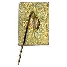 Значок Кисловодск (вид 2)