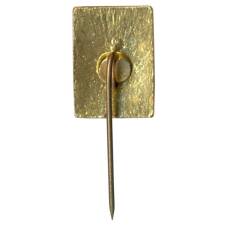 Значок Друскининкай (вид 2)