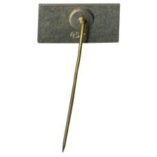 Значок Саласпилс (вид 2)