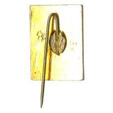 Значок Кисловодск (вид 2)