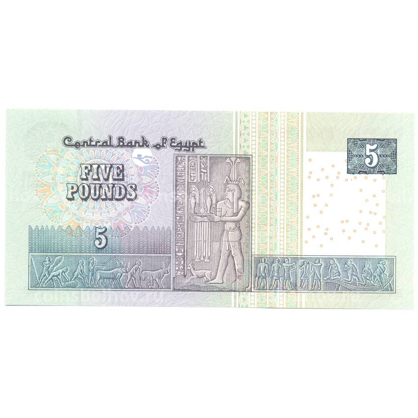 Банкнота 5 фунтов 2014 года Египет