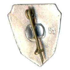 Значок Волгоград (вид 2)