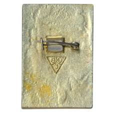 Значок Владимир (вид 2)