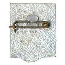 Значок Т.Г. Шевченко (вид 2)