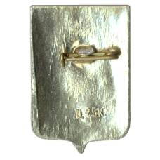 Значок Новгород (вид 2)