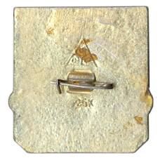 Значок Владимир (вид 2)