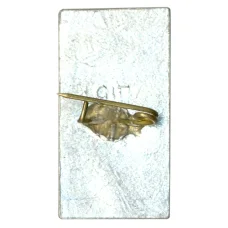 Значок Монумент Славы в Полтаве (вид 2)