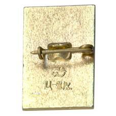 Значок Петродворец (вид 2)