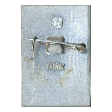 Значок Общество охраны памятников истории и культуры РСФСР (вид 2)