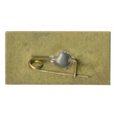 Значок Карпаты (вид 2)