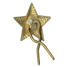 Значок звезда (вид 2)