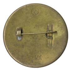 Значок Крейсер Аврора (вид 2)