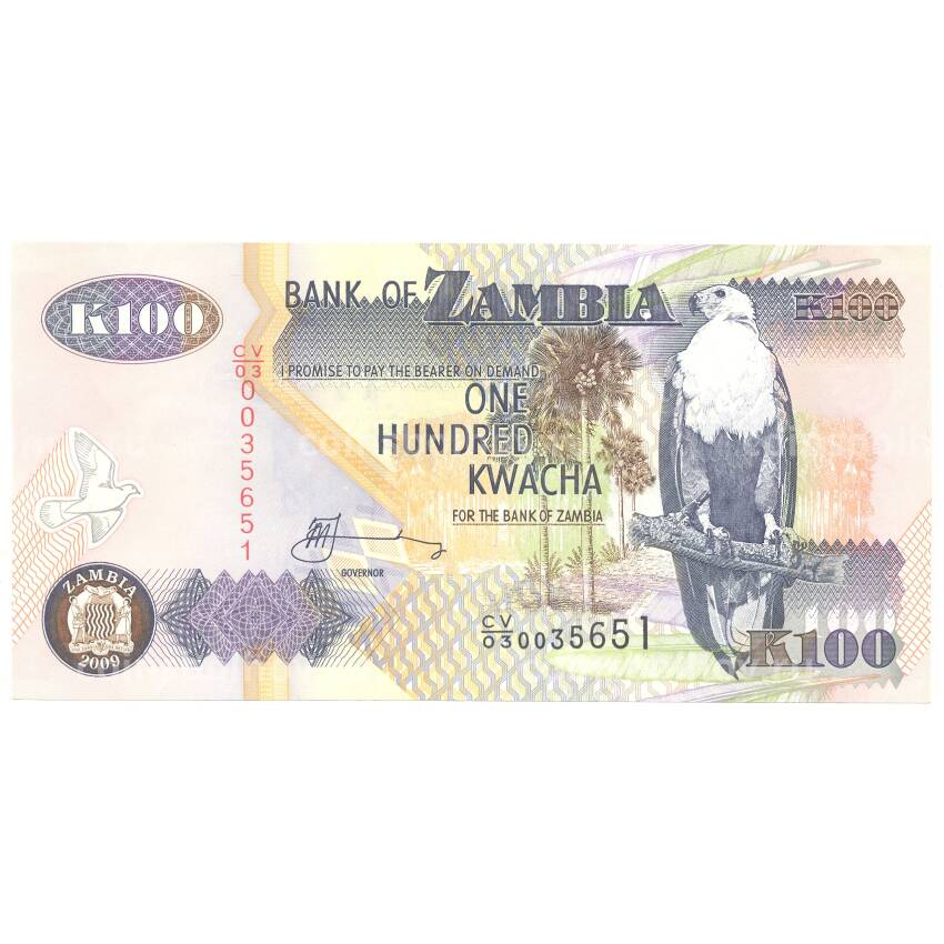 Банкнота 100 квача 2009 года Замбия