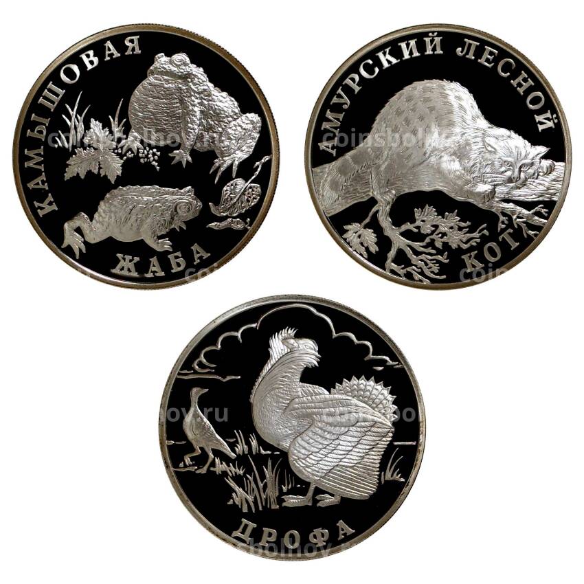 Набор монет 1 рубль 2004 года Красная книга