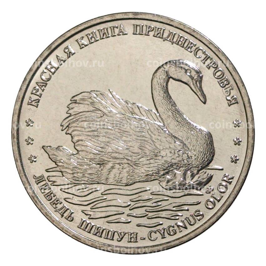Монета 1 рубль 2018 года Приднестровье «Красная книга Приднестровья — Лебедь шипун»