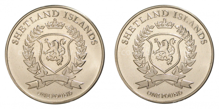 Набор из двух монет 1 фунт 2018 года Шетландские острова «Орлы» (вид 2)