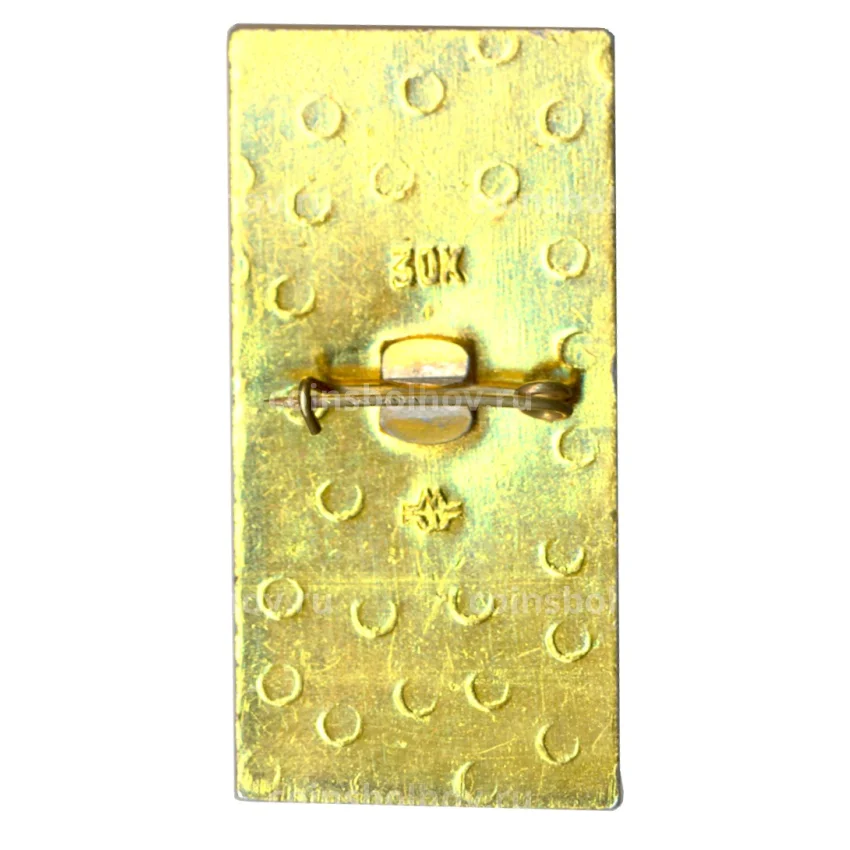 Значок Воины России — Летчик (вид 2)