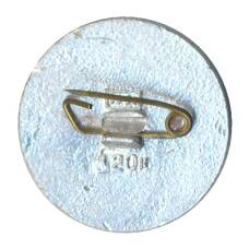 Значок Ростов на Дону (вид 2)