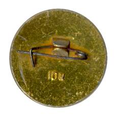 Значок ОСВОД РСФСР — Юный осводовец (вид 2)