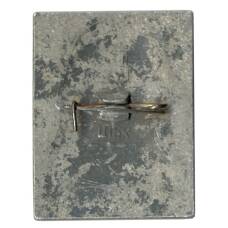 Значок Н.Г. Чернышевский (реверс)