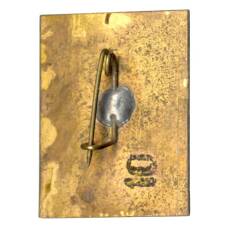 Значок Кисловодск (вид 2)