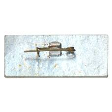 Значок Ростов на Дону (вид 2)