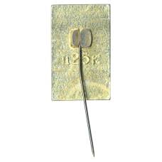 Значок Хазар (вид 2)