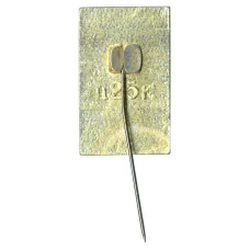 Значок Хазар (вид 2)