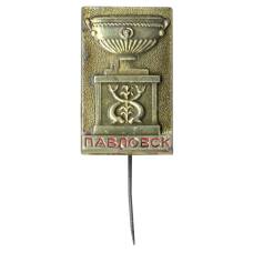 Значок Павловск