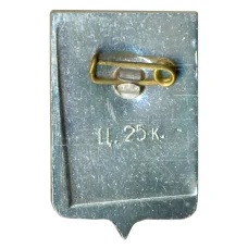 Значок Старая Русса (вид 2)