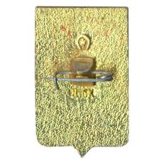 Значок Ростов на Дону (вид 2)