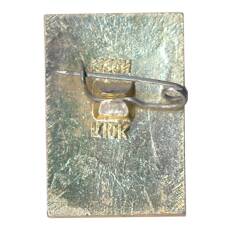 Значок Владимир (вид 2)