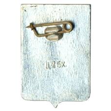 Значок Боровичи (вид 2)