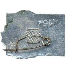 Значок Тарас Шевченко (вид 2)