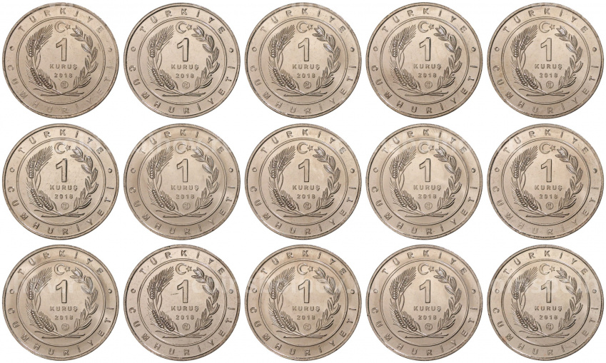Набор монет 1 куруш 2018 года Турция «Птицы Анатолии» (вид 2)